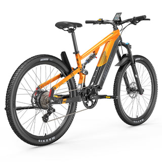 Lankeleisi MG600 Pro 250W 29