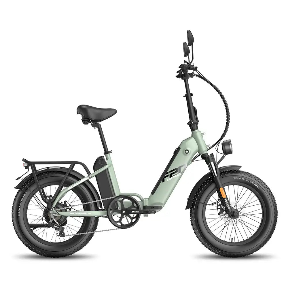 Fafrees FF20 Polar Vélo électrique tout-terrain 20