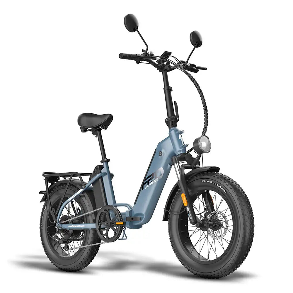 Fafrees FF20 Polar Vélo électrique tout-terrain 20
