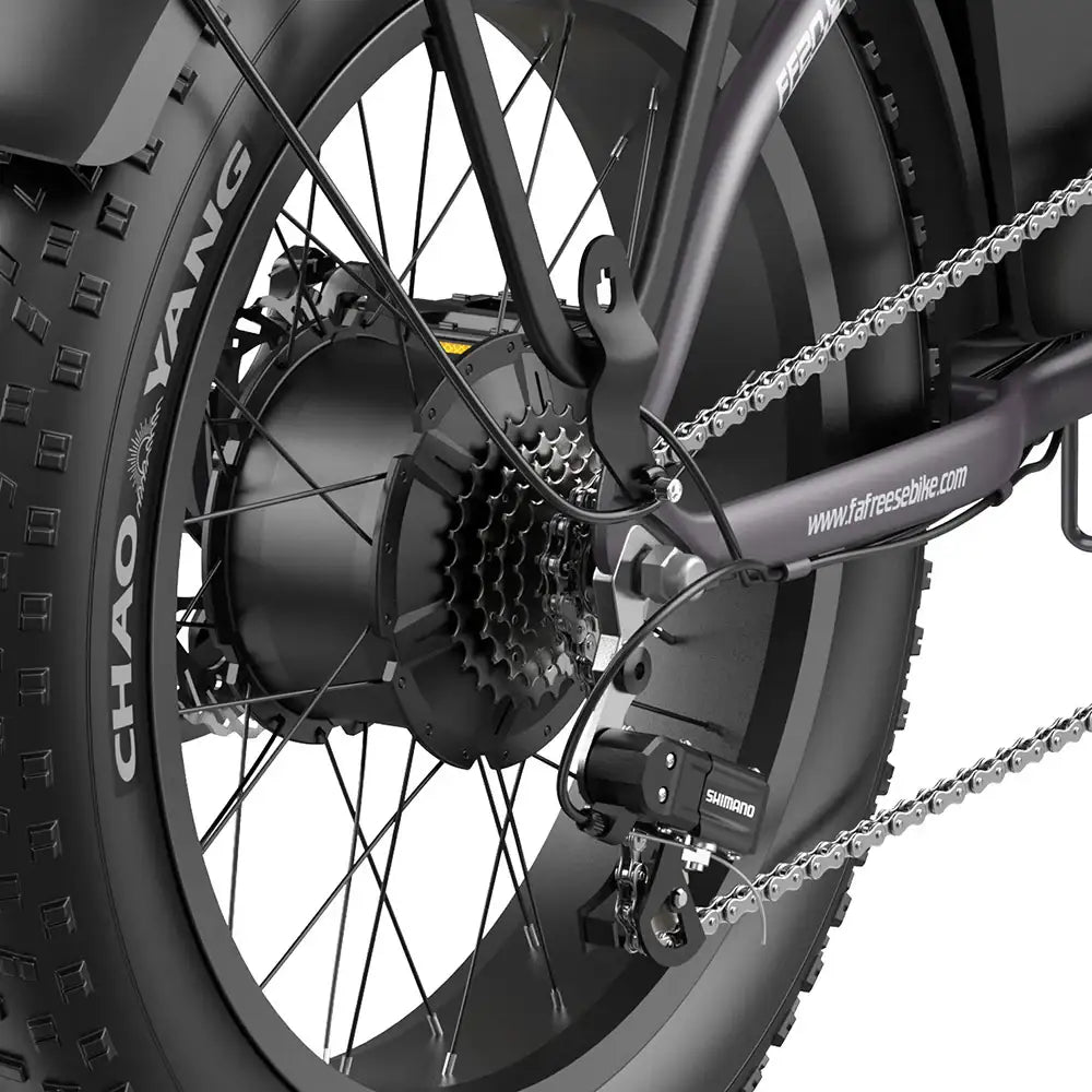 Fafrees FF20 Polar Vélo électrique tout-terrain 20