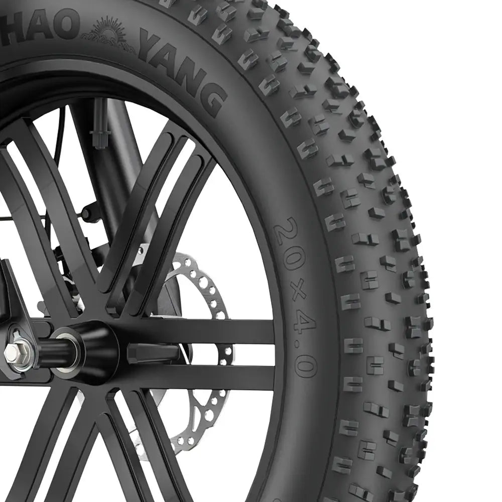 Engwe L20 BOOST 250W 20" Fat Bike 624Wh Vélo électrique à cadre bas avec Capteur de Couple Batterie 48V 13Ah