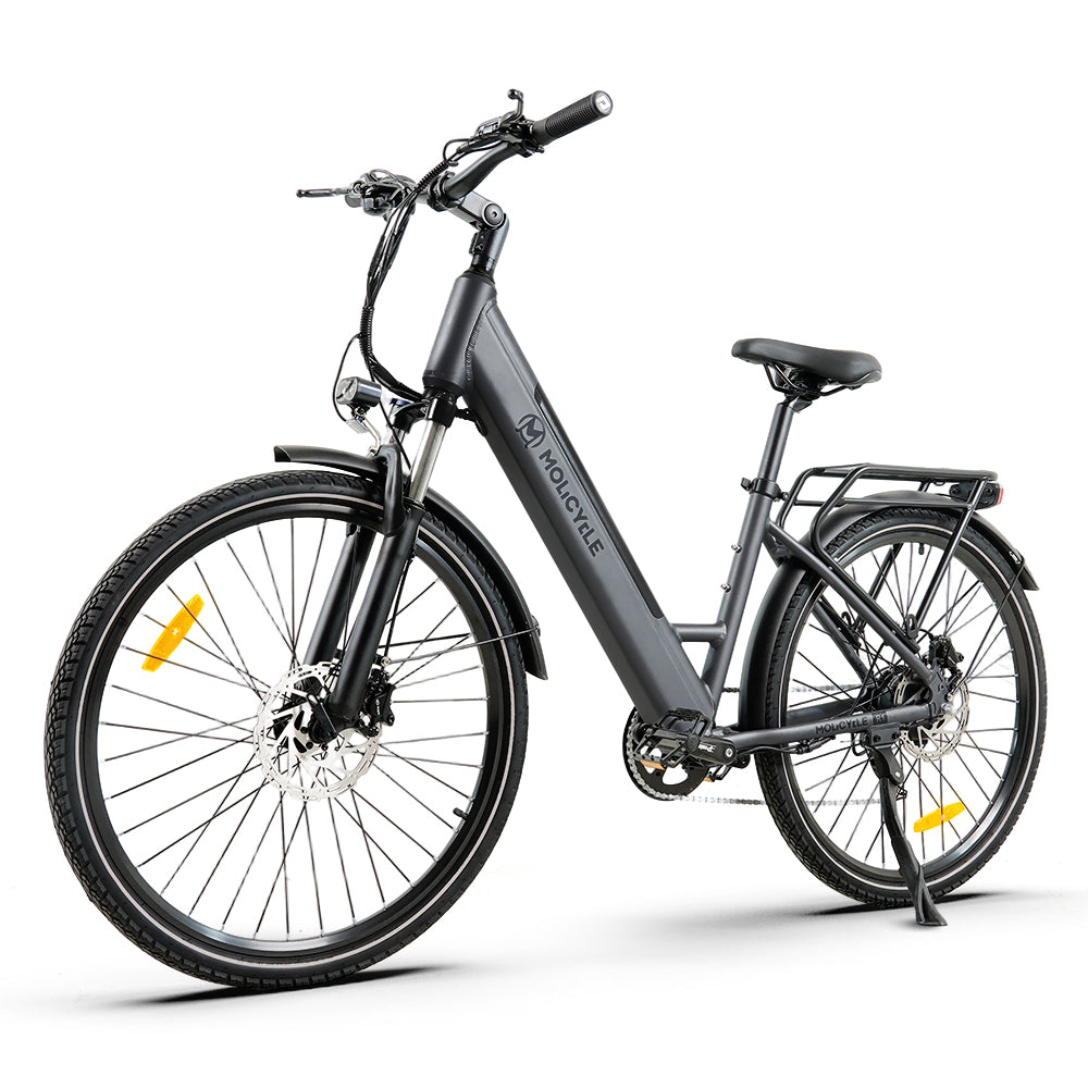 Molicycle R1 Vélo électrique urbain 250W 27,5