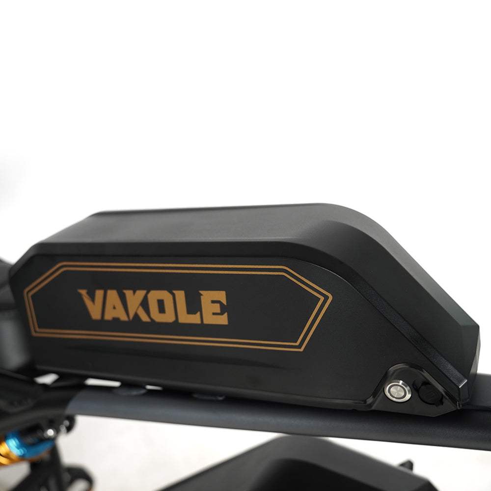 Vakole Q20 MAX 750W*2 Dual Motor 20